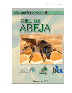 Cadena Agroindustrial de la miel de abeja