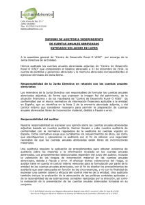 Informe Auditoría y Cuentas 2014