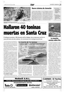 Hallaron 40 toninas muertas en Santa Cruz