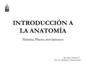 Generalidades Anatomía - U