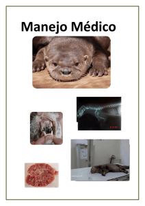 Manejo Médico - IUCN Otter Specialist Group