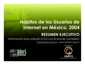 Hábitos de los Usuarios de Internet en México, 2004