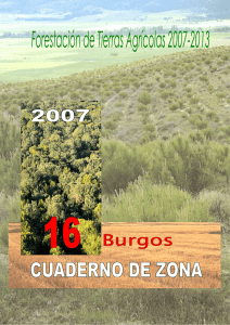 Forestación de Tierras Agrícolas 2007