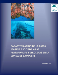 caracterización de la biota marina asociada a las plataformas