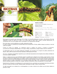 plagas biotrax.cdr - Bio-Baro