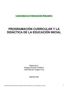 programación curricular y la didáctica de la - UPN