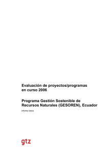 Evaluación de proyectos/programas en curso 2006 Programa