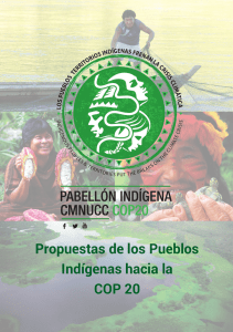 Propuestas de los Pueblos Indígenas hacia la COP 20