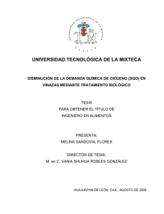 UNIVERSIDAD TECNOLÓGICA DE LA MIXTECA