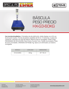 BÁSCULA PESO PRECIO HX-G3-60KG