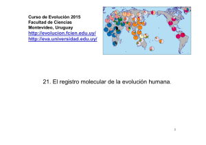 21. El registro molecular de la evolución humana.