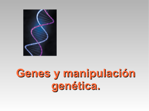Genes y manipulación genética.