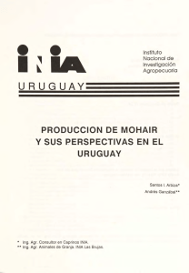 Bd 24. Producción de mohair y sus perspectivas en el Uruguay