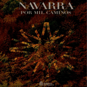 Navarra por mil caminos - Gobierno