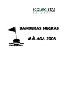 Banderas negras 2008 en Málaga