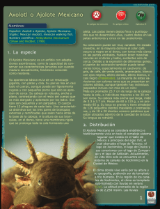 Information summary - Biodiversidad Mexicana