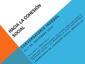 Observaciones sobre Cohesión Social y Políticas Públicas