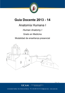 Guía Docente 2013 - 14