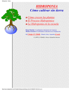 Hidroponia - Home - virtual.chapingo.mx