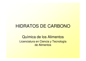 HIDRATOS DE CARBONO Archivo