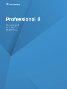 PDF Primavera professional