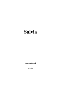 Salvia - Antonio Onetti