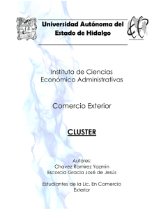 cluster - Universidad Autónoma del Estado de Hidalgo
