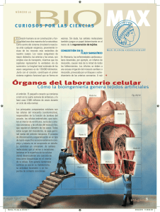 Órganos del laboratorio celular