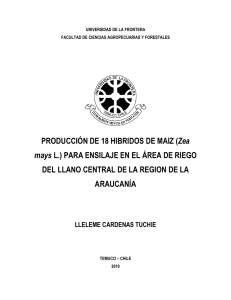 PRODUCCIÓN DE 18 HIBRIDOS DE MAIZ (Zea mays L.) PARA