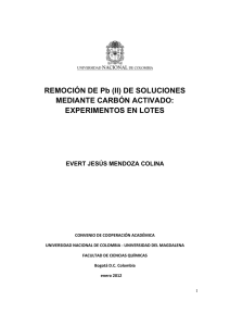 REMOCIÓN DE Pb (II) DE SOLUCIONES MEDIANTE CARBÓN