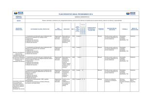 plan operativo anual programado 2014