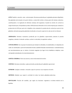 glosario - tesis.uson.mx