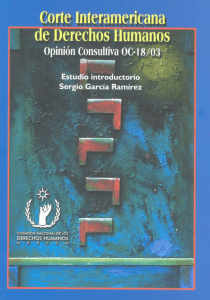 corte interamericana de derechos humanos opinión consultiva oc