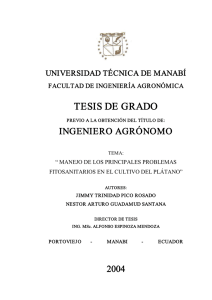 TESIS_MANEJO_DEL_CULTIVO_DE_PLATANO documento
