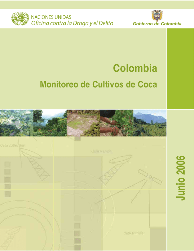 Censo de cultivos de coca en Colombia en el año 2005