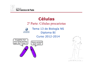 GTP_T13.Células - Ciencias con D. Germán