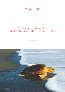 Capítulo IV Estatus y conservación de las Tortugas Marinas en