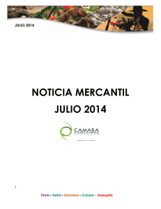 NOTICIA MERCANTIL JULIO 2014