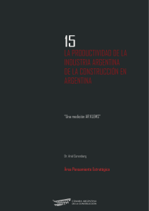 La productividad de la industria de la construcción en Argentina