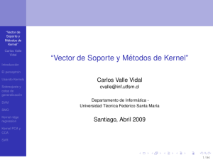 Vector de Soporte y Métodos de Kernel