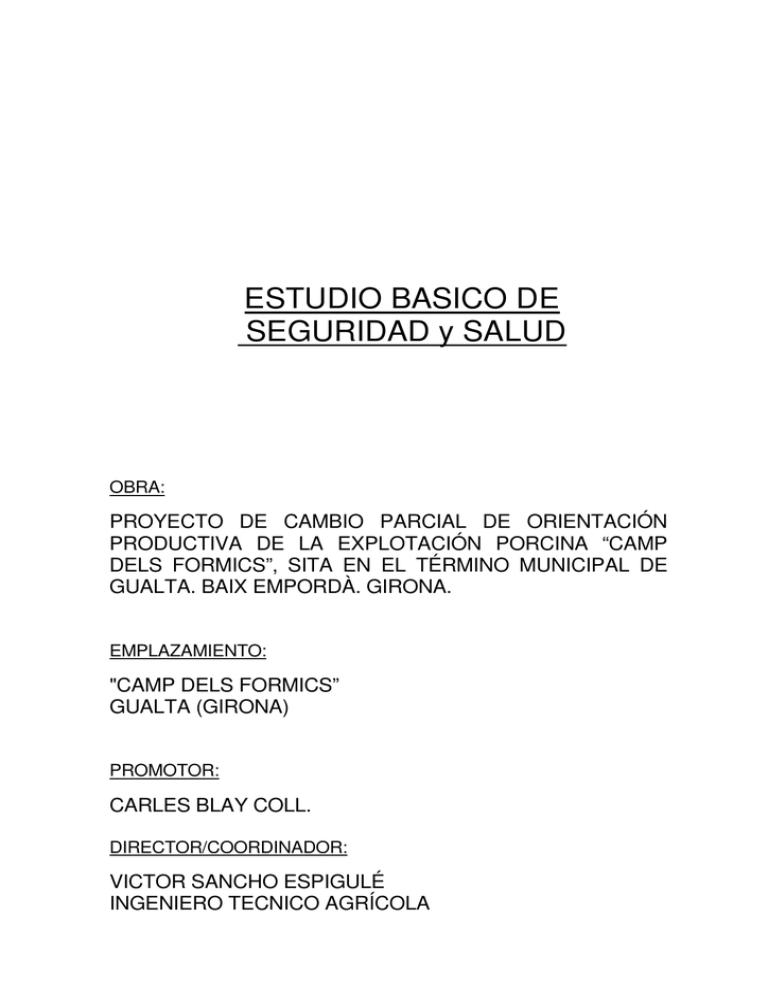 Estudio Basico De Seguridad Y Salud