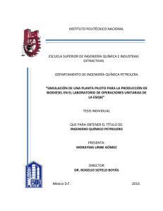 Tesis de Biodiesel