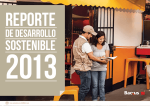 Reporte Desarrollo Sostenible 2013