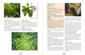 Impacto ambiental