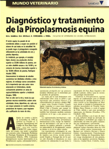 Diagnosis y tratamiento de la Piroplasmosis equina