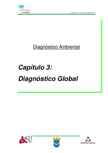 Diagnóstico Global - Agenda 21 Local Retascón