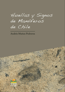 Huellas y signos de mamíferos de Chile