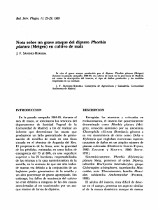 Nota sobre un grave ataque del díptero Phorbia platura (Meigen) en