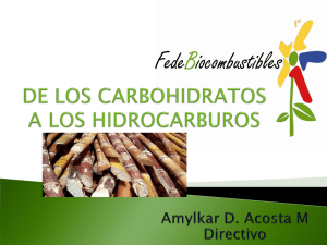 El sector del bioetanol en Colombia Amilkar Acosta