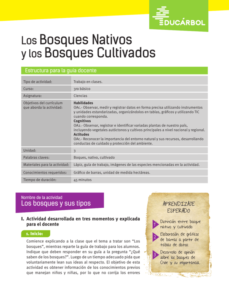 Los Bosques Nativos Y Los Bosques Cultivados